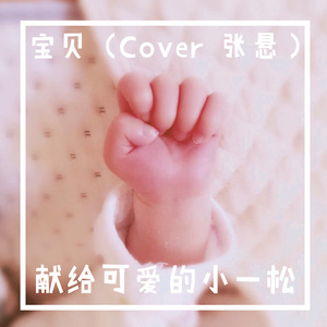 宝贝（Cover 张悬）