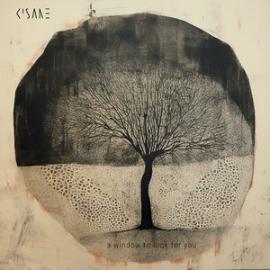 A Window to Look For You