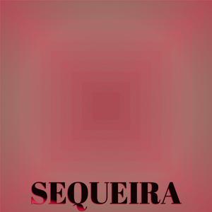Sequeira