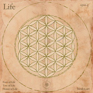 生命の花 - フラワーオブライフ