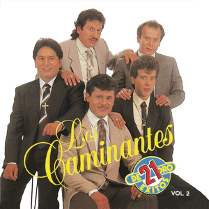 Amor Querido