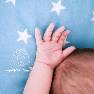 Mahler:Lieder Eines Fahrenden Gesellen – II. Ging Heut&amp` Morgens Über&amp`s Feld