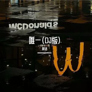 唯一（DJ版）