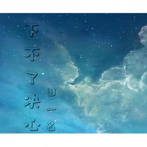 下不了决心(DJ版)