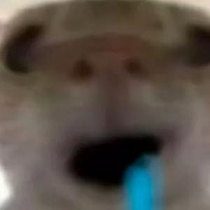 哈基米 (吉祥三宝版)