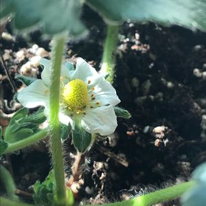 落 (prod by牙刷/UNIVERSE 444)