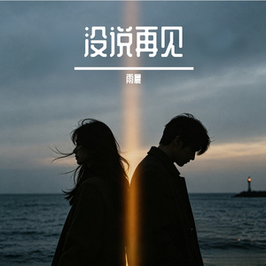 没说再见