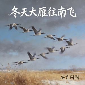 冬天大雁往南飞(越往南飞路越宽)