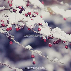 柔和的冥想时刻