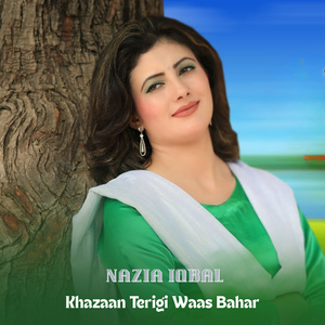 Khazaan Terigi Waas Bahar