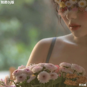 如愿(Dj版)