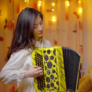 往日时光（手风琴版）