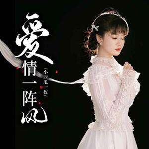 爱情一阵风 (国语版)