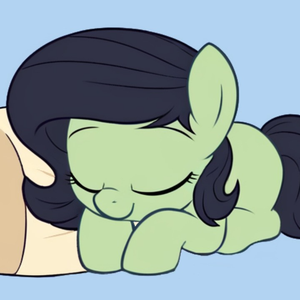 Filly Sleeps