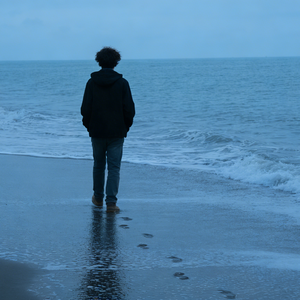 《时光与琥珀》