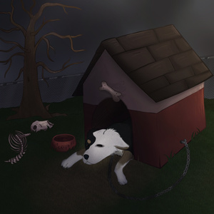 I Don't Wanna Sleep Tonight