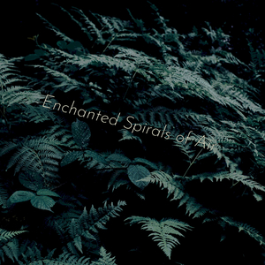 End of Night Ambiance