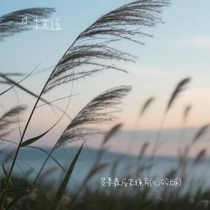 贤妻最后变嫌弃