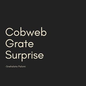 Cobweb Grate Surprise