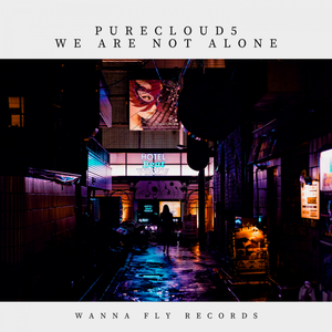 We Are Not Alone (Original Mix)