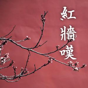 紅牆嘆 (Powerful Orchestral Cover)