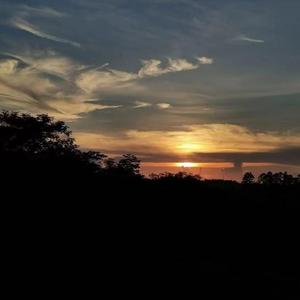 疑心病（翻自 抖音）