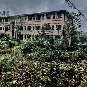 在四月快结束的时候我们做了一场没有春天的梦