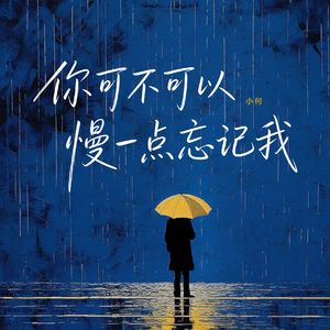 你可不可以慢一点忘记我 （深情版）