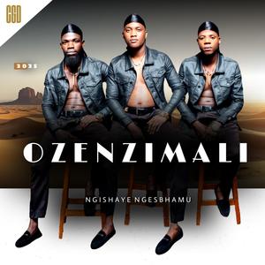 Ngeshumi lami (feat. Sthoko)