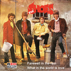 Farewell In The Rain