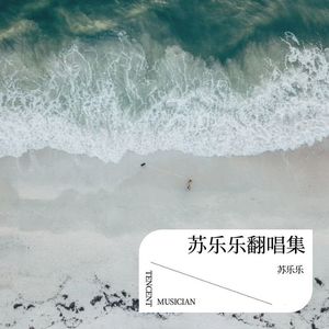 我离开了有你的四季 (Remix)