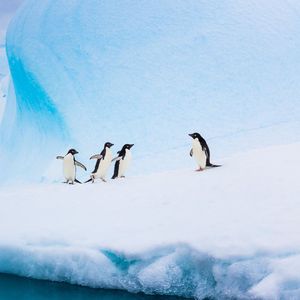 今生缘浅，来世再续