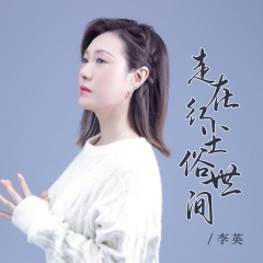 走在红尘俗世间 (DJ豪大版)