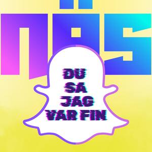 Fin på snap