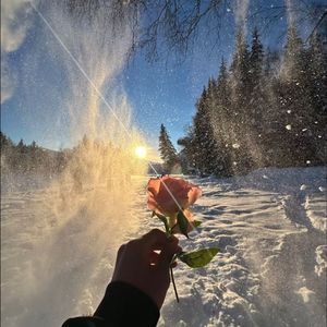 你眼底的温柔哪分是给我