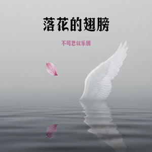 落花的翅膀（女生版）