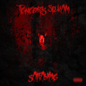 Tenebris Silvam