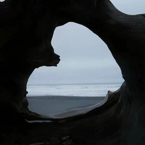 你也想当明星嗦？