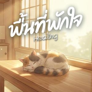 พื้นที่พักใจ (Healing)