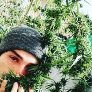 Su Dope Marihuana -_-