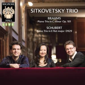 Piano Trio No. 2 in E-Flat Major, D. 929: I. Allegro