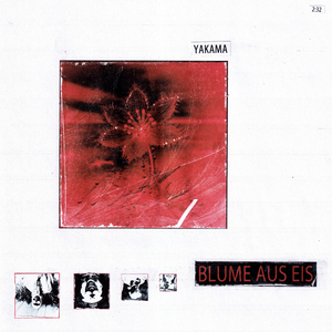 blume aus eis