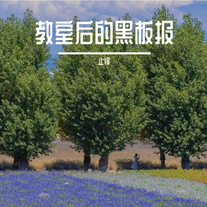 教室后的黑板报