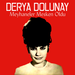 Meyhaneler Mesken Oldu