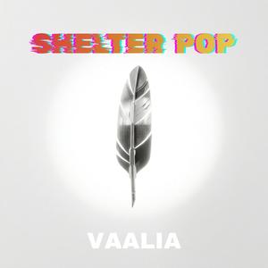 Shelter (Pop)