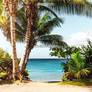 酒店愉快的爵士