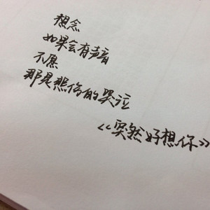 好想你（Remix）苑会伟