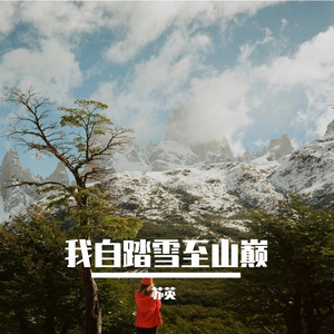 我自踏雪至山巅