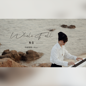 鲸落 · Whale Fall