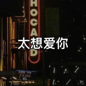 太想爱你